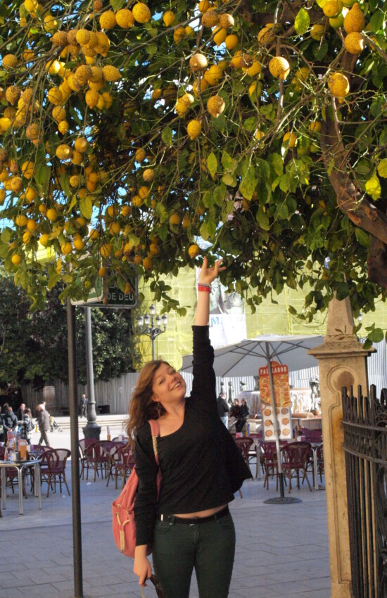 <h1 style="color: #0687a5;">Erasmus w Walencji, 2011</h1>